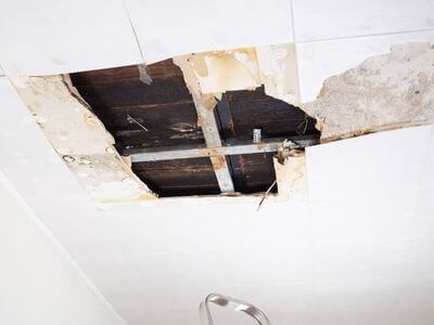 About TerraNestle - water damage restoration experts in Paso